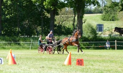 Foto des Albums: Fahrturnier Hilders 2019