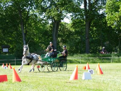 Foto des Albums: Fahrturnier Hilders 2019