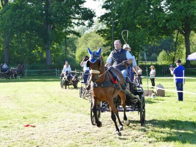 Foto des Albums: Fahrturnier Hilders 2019