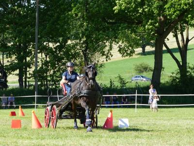 Foto des Albums: Fahrturnier Hilders 2019