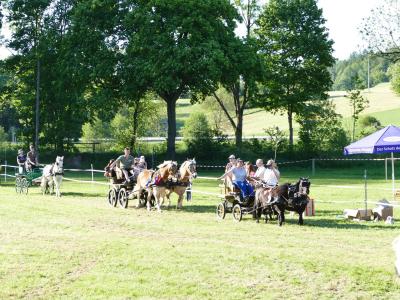 Foto des Albums: Fahrturnier Hilders 2019