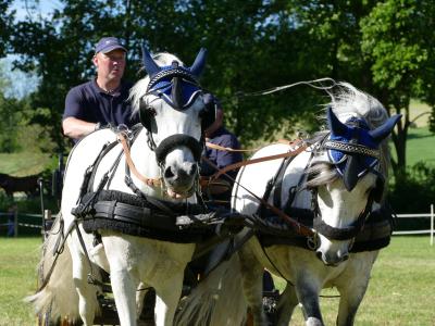 Foto des Albums: Fahrturnier Hilders 2019