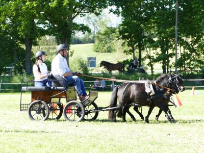 Foto des Albums: Fahrturnier Hilders 2019