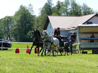 Foto des Albums: Fahrturnier Hilders 2019