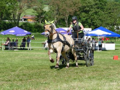 Foto des Albums: Fahrturnier Hilders 2019