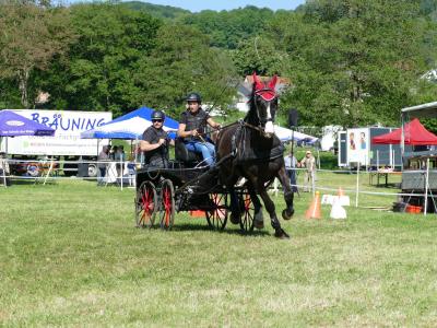 Foto des Albums: Fahrturnier Hilders 2019