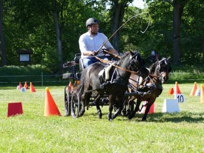 Foto des Albums: Fahrturnier Hilders 2019