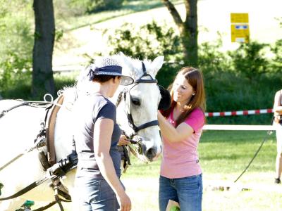 Foto des Albums: Fahrturnier Hilders 2019