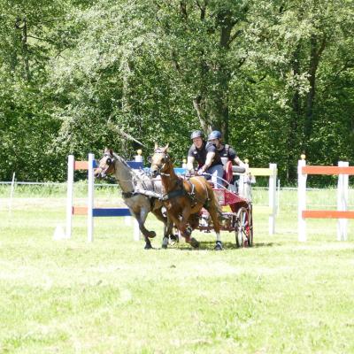 Foto des Albums: Fahrturnier Hilders 2019