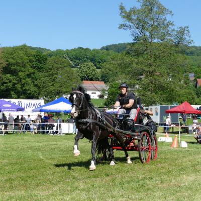 Foto des Albums: Fahrturnier Hilders 2019