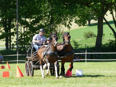 Foto des Albums: Fahrturnier Hilders 2019