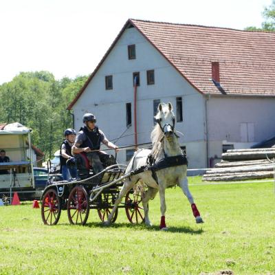 Foto des Albums: Fahrturnier Hilders 2019