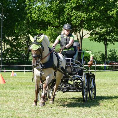 Foto des Albums: Fahrturnier Hilders 2019
