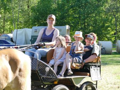 Foto des Albums: Fahrturnier Hilders 2019