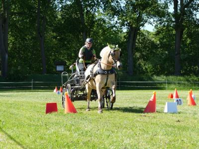 Foto des Albums: Fahrturnier Hilders 2019