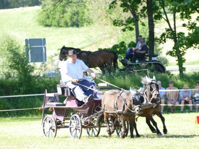 Foto des Albums: Fahrturnier Hilders 2019