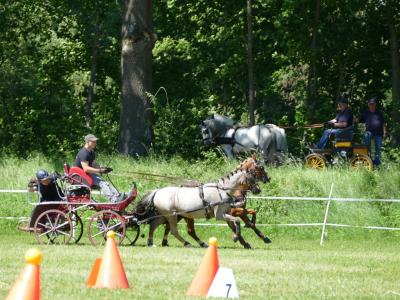 Foto des Albums: Fahrturnier Hilders 2019