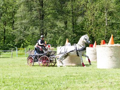 Foto des Albums: Fahrturnier Hilders 2019