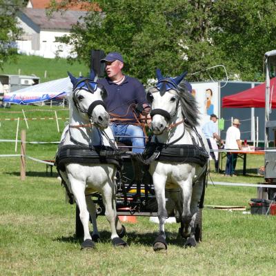 Foto des Albums: Fahrturnier Hilders 2019