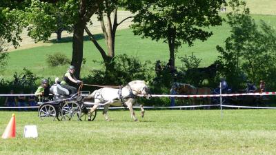 Foto des Albums: Fahrturnier Hilders 2019