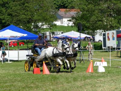 Foto des Albums: Fahrturnier Hilders 2019