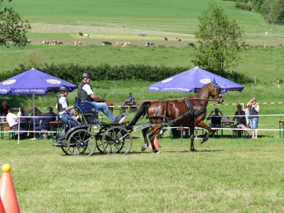 Foto des Albums: Fahrturnier Hilders 2019