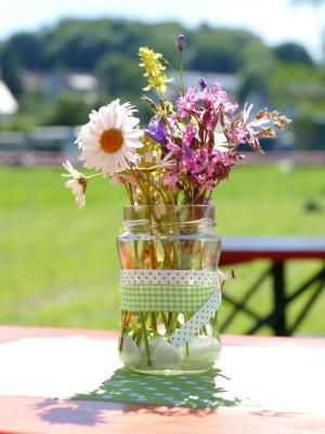 Foto des Albums: Fahrturnier Hilders 2019