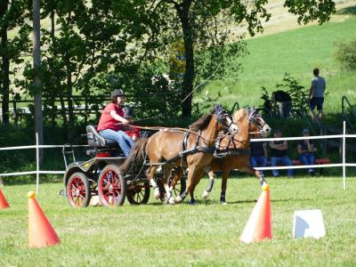 Foto des Albums: Fahrturnier Hilders 2019