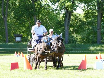Foto des Albums: Fahrturnier Hilders 2019