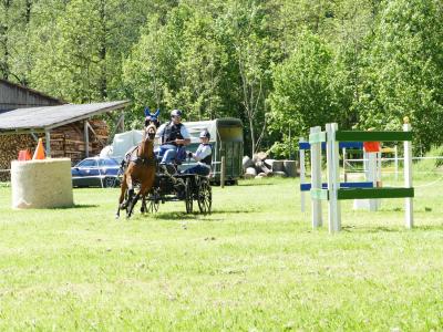 Foto des Albums: Fahrturnier Hilders 2019