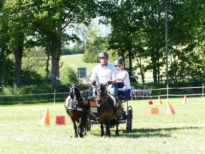Foto des Albums: Fahrturnier Hilders 2019