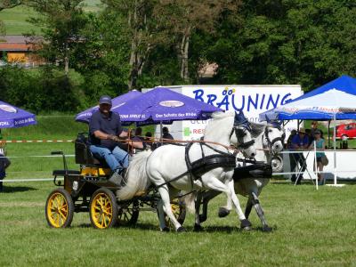 Foto des Albums: Fahrturnier Hilders 2019