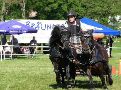Foto des Albums: Fahrturnier Hilders 2019