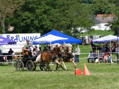 Foto des Albums: Fahrturnier Hilders 2019