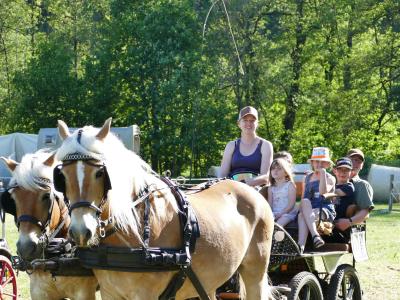 Foto des Albums: Fahrturnier Hilders 2019