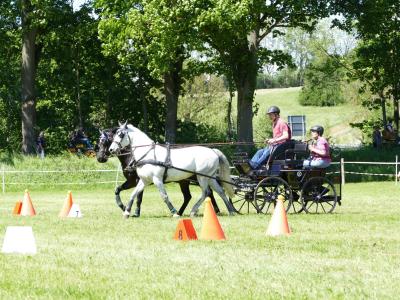Foto des Albums: Fahrturnier Hilders 2019
