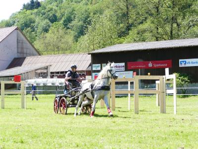 Foto des Albums: Fahrturnier Hilders 2019