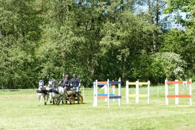 Foto des Albums: Fahrturnier Hilders 2019