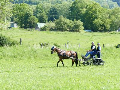 Foto des Albums: Fahrturnier Hilders 2019
