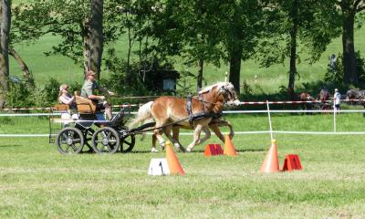 Foto des Albums: Fahrturnier Hilders 2019