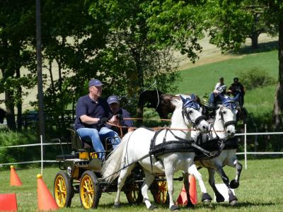 Foto des Albums: Fahrturnier Hilders 2019