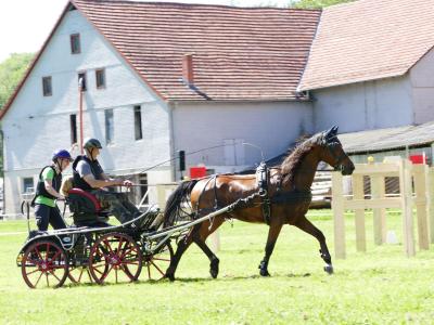 Foto des Albums: Fahrturnier Hilders 2019