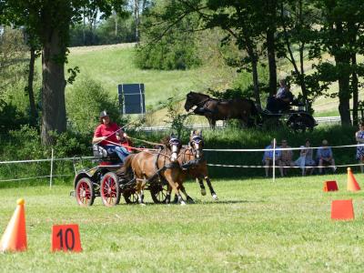 Foto des Albums: Fahrturnier Hilders 2019