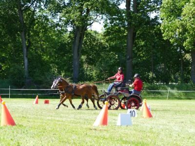 Foto des Albums: Fahrturnier Hilders 2019