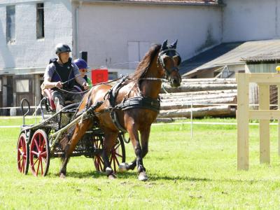 Foto des Albums: Fahrturnier Hilders 2019