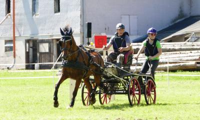 Foto des Albums: Fahrturnier Hilders 2019