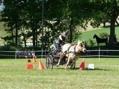 Foto des Albums: Fahrturnier Hilders 2019