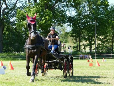 Foto des Albums: Fahrturnier Hilders 2019