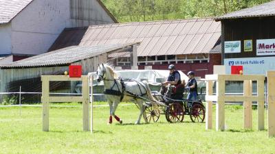 Foto des Albums: Fahrturnier Hilders 2019