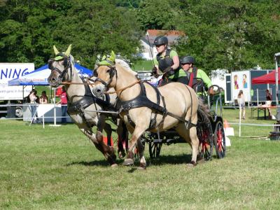 Foto des Albums: Fahrturnier Hilders 2019